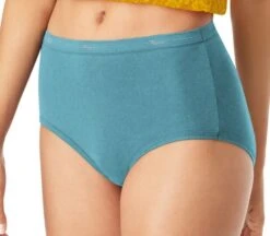 Hanes Cool Comfort® Women's Cotton Brief Panties - 6 Pack -Cheap Footwear Store 2731960 1 1