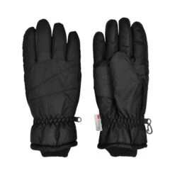 Grand Sierra Women's Thinsulate Taslon Ski Glove, Assorted -Cheap Footwear Store 65104 black both 2023 500x500 1